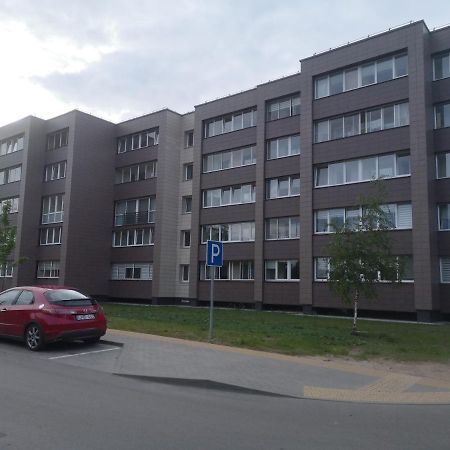 Kristinos Apartment ดรูซกินินไก ภายนอก รูปภาพ
